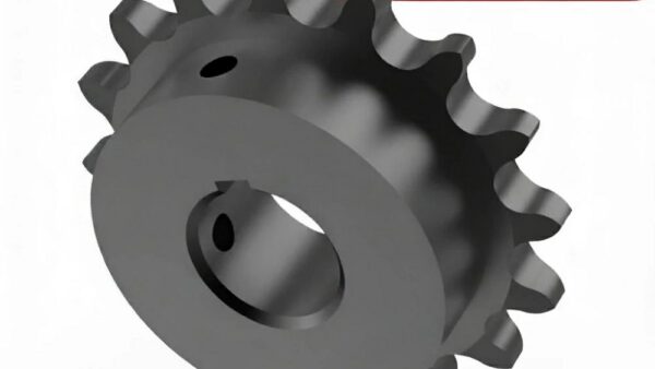 Sprocket 50B24T 1.25 In Bore 1/4 KW 2 SS