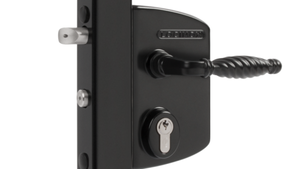 Surface Mounted Gate Lock