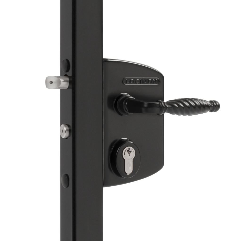 Surface Mounted Gate Lock