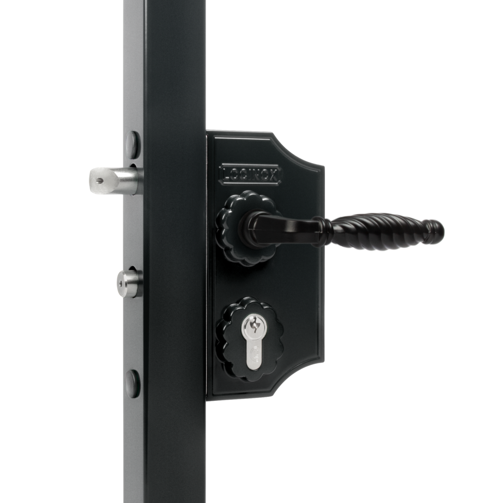 Ornamental Lock- RAL 9005 profile 1-1/4"