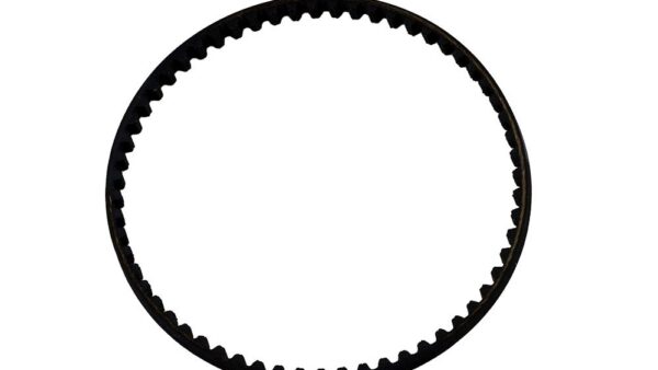 Drive Belt